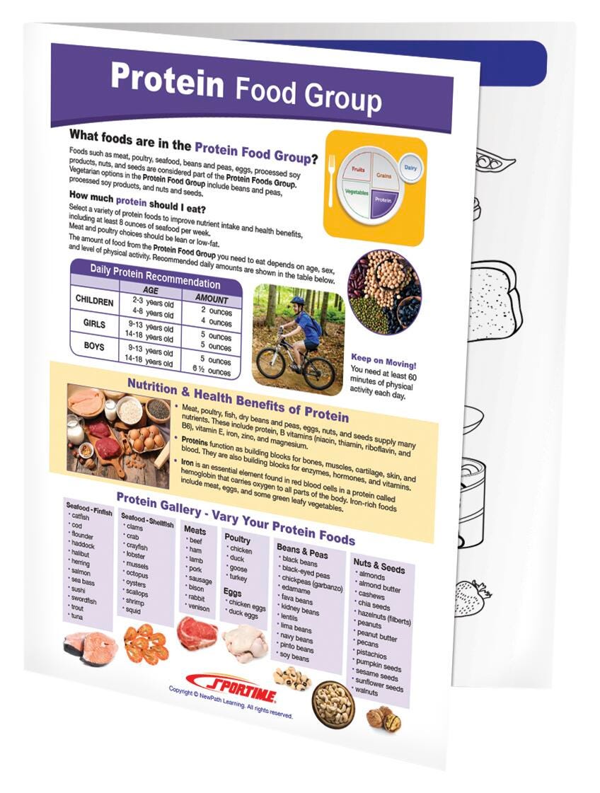 Image for Sportime Protein Food Group Visual Learning Guide, 4 Pages, Grades 5 to 9 from School Specialty